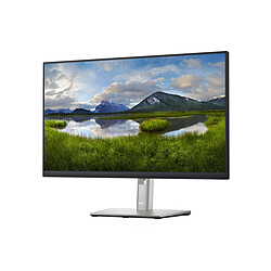 24 MNTR P2422H 60.5CM 23.8IN DELL-P2422H