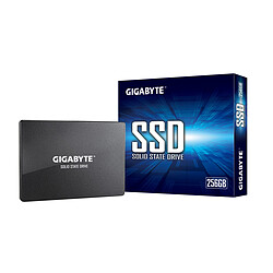 Gigabyte 256 Go - 2,5'' SATA III - 6 Go/s