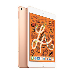 Apple iPad mini 2019 - 64 Go - Wifi - MUQY2NF/A - Or