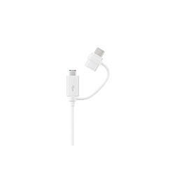 Samsung Cable USB type C - 1.5m - Blanc Vers Type C et micro USB CABLE Cable USB Type-C 1.5m Blanc Cable 'combo' USB vers Type C et micro USB SAMSUNG EP-DG930DWEGWW