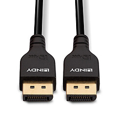 Acheter Lindy 36462 DisplayPort cable