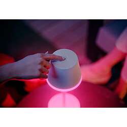 Acheter Philips Hue Go Lampe à poser portable - Blanc