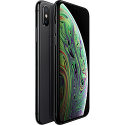 Apple iPhone XS - 512 Go - MT9L2ZD/A - Gris Sidéral - Reconditionné