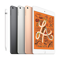 Avis Apple iPad mini 2019 - 64 Go - Wifi - MUQY2NF/A - Or · Occasion