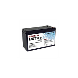 Batterie pour SAI Salicru UBT 013BS-02 12/9 9 Ah 12V