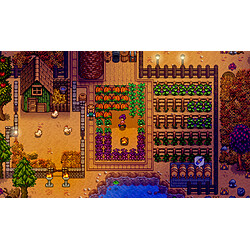 Avis 505 Games Stardew Valley - PS4