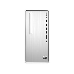 Avis HP Pavilion TP01-1019nf - Argent naturel