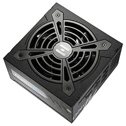 Acheter FSP HYDRO G PRO Gold 1000W - 80+