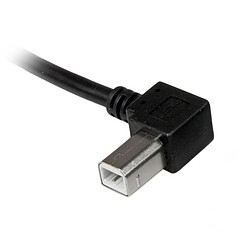 Acheter StarTech.com Câble USB 2.0 A vers USB B Coudé à Gauche Mâle / Mâle pour imprimante - 2 m - Noir