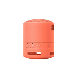 Avis Sony Enceinte Bluetooth SRS-XB13 - Corail