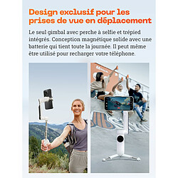 Stabilisateur pour Smartphone Insta360 Flow Standalone Gris pas cher