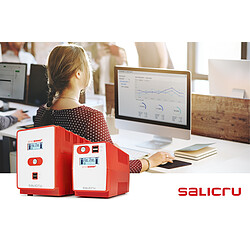 Salicru SPS 1200 SOHO+ SCH pas cher