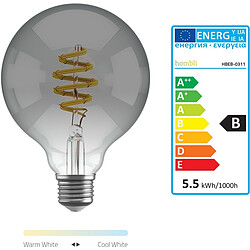 Acheter Hombli E27 CCT G95-Smokey