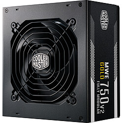 Cooler Master Ltd MWE Gold 750W - 80+