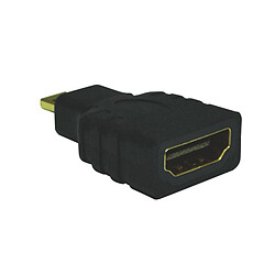 Heden Adaptateur Micro HDMI - HDMI Femelle