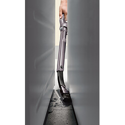 Acheter Dyson Cinetic Big Ball Absolute 2 Gris