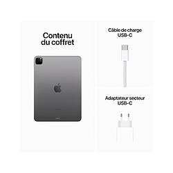 Acheter Apple iPad Pro 11 (2022) WiFi - 512 Go - Gris Sidéral