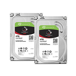 Seagate Technology Lot de 2 IronWolf 4 To 3.5'' SATA III (6 Gb/s) Cache 64 Mo