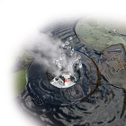 Bassin poissons Générique