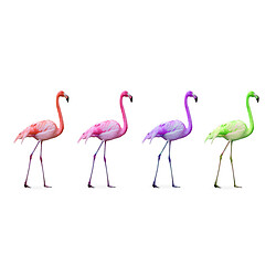 DECLIKTABLEAU Tableau Animaux Quatuor de Flamants Roses 80x55 