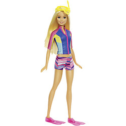 Barbie et son dauphin magique - FBD63