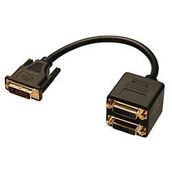 Lindy DVI Splitter Cable DVI cable