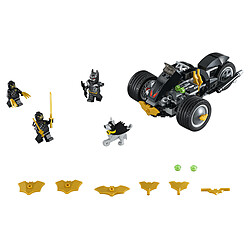 LEGO® DC Comics Super Heroes - Batman™ et l'attaque des hiboux - 76110