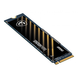 Acheter MSI SPATIUM M390 NVMe M.2 2TB