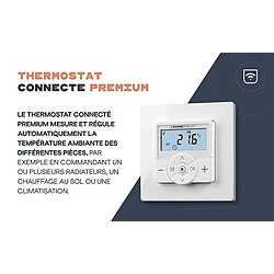 Avis HomePilot Thermostat connecté premium