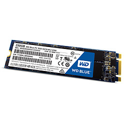 Western Digital SSD interne WD Blue M.2 250 Go - SATA 6 Gbit/s 2,5'' Disque SSD WD Blue SSD M.2 250 Go