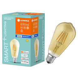 Ledvance Ampoule connectée Smart+ Bluetooth EDISON FIL OR  53W E27 - Puissance variable