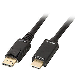 Lindy 36920 Câble DisplayPort vers HDMI 4K30 0,5m