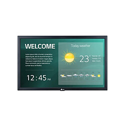 LG 22SM3G Moniteur 22'' FHD LED 60Hz IPS HDMI USB Noir 