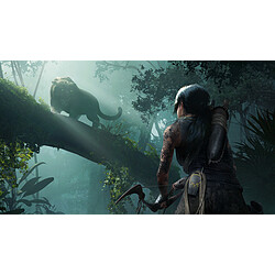 Avis Square Enix Shadow of the Tomb Raider - Jeu PS4