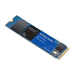 Avis Western Digital WD SN550 1 To - M.2 PCIe Gen3 NVMe - Bleu