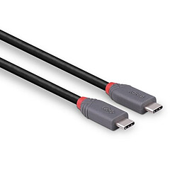 Avis Lindy 36947 USB cable