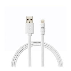 WE Câble USB Apple plat - 2 metres - Blanc - Silicone