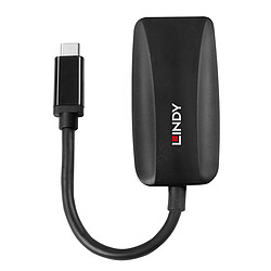 Lindy Convertisseur USB Type C vers DisplayPort 1.4