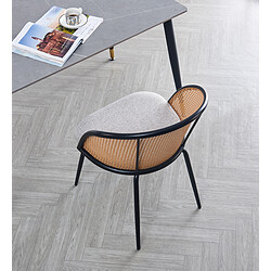 Acheter 3S. x Home Nordlys - Lot de 2 Chaises de Salle a Manger Industrielles Metal Cannage Rotin gris