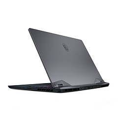 MSI GE66 Raider 10UE-215FR - Gris