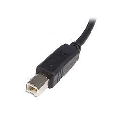 Avis StarTech.com Câble USB 2.0 A vers B de 2 m - M/M