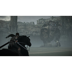 Sony Interactive Entertainment Jeu PS4 Shadow Of The Colossus pas cher