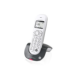 Alcatel Téléphone Fixe Sans fil avec répondeur C250 Solo Gris 7h d'autonomie - 14 min d'enregistrement