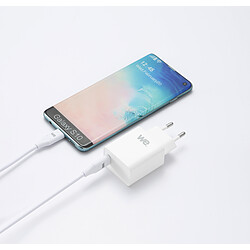 Acheter WE Bundle chargeur USB-C avec câble Chargeur 1 port USB-C 18W, PD 3.0 + 1 Câble USBC/USBC de 1 mètre blanc