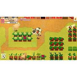 Acheter KOCH Media HARVEST MOON : Lumière d'Espoir - Édition Spéciale - Jeu Switch