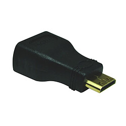 Heden Adaptateur Mini HDMI - HDMI Femelle