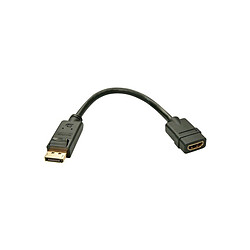 LINDY Convertisseur Passif DisplayPort vers HDMI