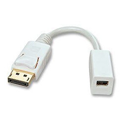 Lindy 41060 Câble adaptateur DP vers Mini-DisplayPort Femelle