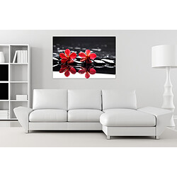 Avis DECLIKTABLEAU Tableau Floral Fleurs Rouges Sur Fond Noir 80  x  55 cm