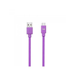 Avis Câble WE USB/USB-C Violet